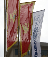 büyük ülke bayrakları